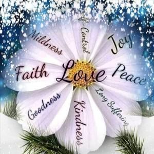 Meet your Posher, Ellen